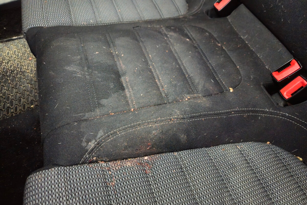 Zabrudzona tapicerka samochodowa po wymiotach - Lublin